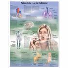 Nicotine Dependence, 1001622 [VR1793L], Strumenti didattici sul fumo