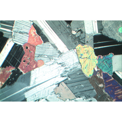 Rocce e minerali, Set di base no. I, 1012495, Micropreparati LIEDER