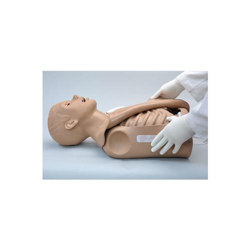 Simulatore a torso per rianimazione Simon® OMNI®, 1022057, BLS per adulti