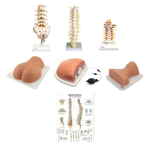 Kit completo per iniezioni spinali, 8001095 [3011954], Set di anatomia