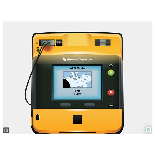 Display Screen Premium del Defibrillatore LIFEPAK® 1000 per REALITi 360, 8000970, Simulatori DAE