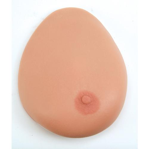 Modello per palpazione del seno, tre seni singoli su supporto, 1000344 [L55], Women's Health Education