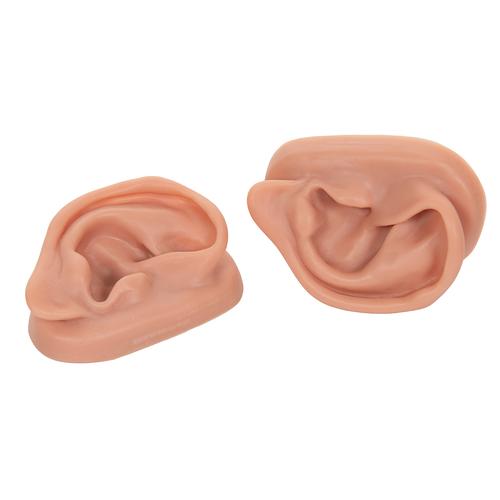 2 orecchie per agopuntura, 1000373 [N15], Modelli di Orecchio, Naso e Gola