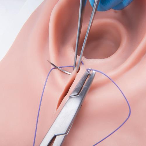 Simulatore di sutura e taglio del perineo, 1019639 [P95], Ostetricia