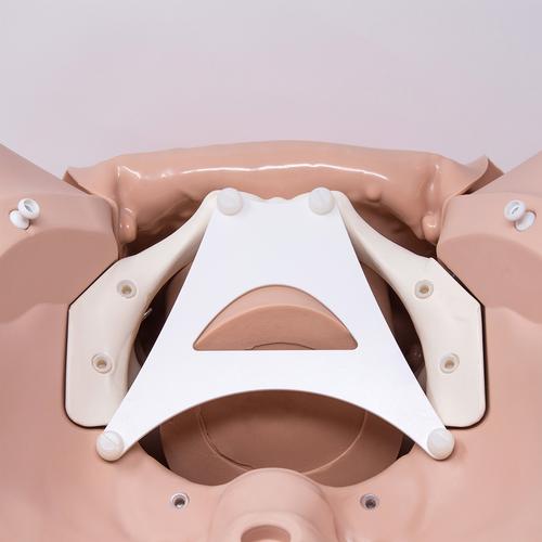 Modulo di formazione sulla sutura dell’episiotomia per Simulatore del parto P90
, 1022212 [P96], Ostetricia