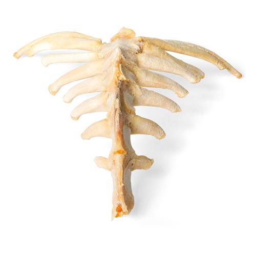 Cavallo (Equus ferus caballus), sterno, 1021055 [T30059], osteologia