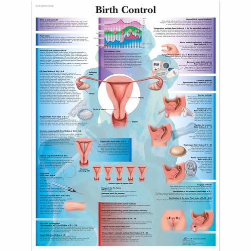 Birth Control, 1001580 [VR1591L], Ginecologia
