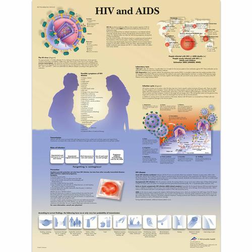 HIV and AIDS, 4006722 [VR1725UU], Parassitarie, virali e da infezione batterica