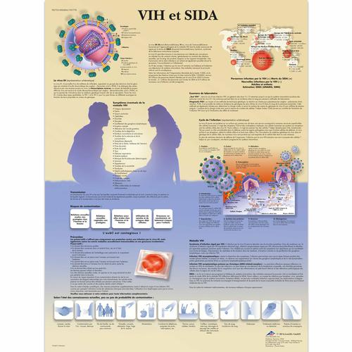 VIH et SIDA, 1001778 [VR2725L], Educazione sessuale
