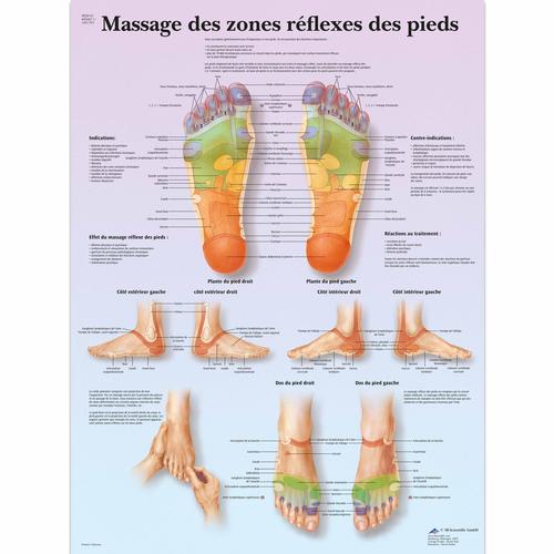 Massage des zones réflexes
des pieds, 4006811 [VR2810UU], Agopuntura
