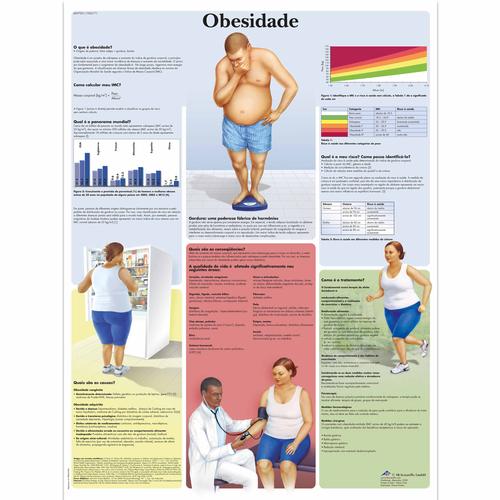 Obesidade, 1002171 [VR5460L], Sistema metabolico