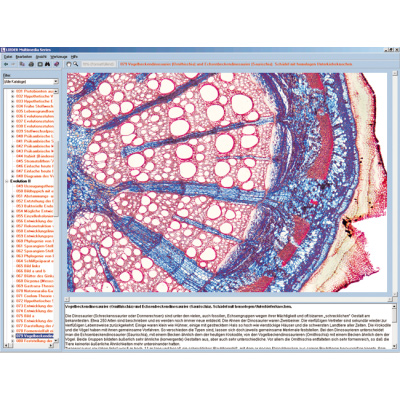 CD con micro immagini per le scuole – Serie B, 1004270 [W13451], Software di Biologia