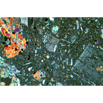 Rocce e minerali, Set di base no. II, 1012498 [W13455], Petrografia