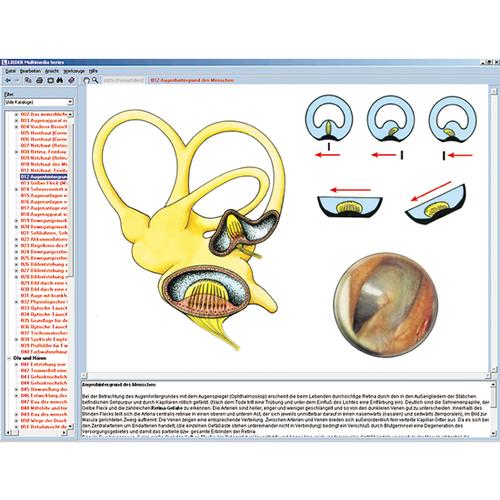Gli organi sensoriali come finestra sul mondo, 1004276 [W13507], Software di Biologia