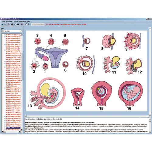 Riproduzione ed educazione sessuale, 1004279 [W13510], Software di Biologia