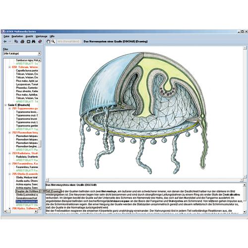 Zoologia in aula, CD-ROM, 1004292 [W13523], Software di Biologia