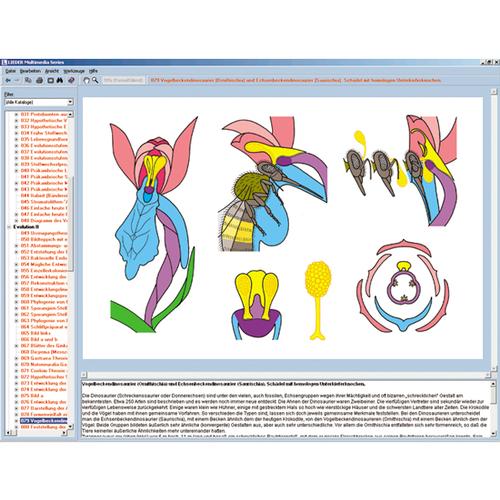 La biologia di fiori e frutta, CR-ROM, 1004295 [W13526], Software di Biologia