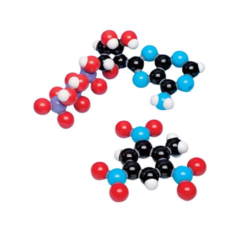 Kit di montaggio biochimica D, molymod®, 1005280 [W19702], Kit di modelli molecolari
