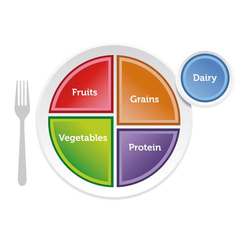 Piatto MyPlate, 1018316 [W44791], Obesity e Eating Disorders Education