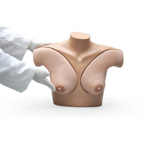Simulatore per autoesame della mammella, 1017548 [W45105], Ginecologia