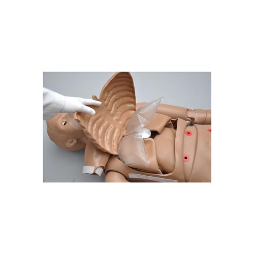 CPR SIMON BLS - Corpo intero con punti venosi, 1017559 [W45115], BLS per adulti