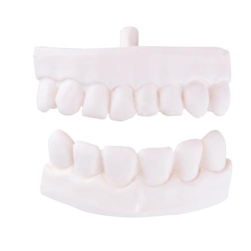 Ricambio protesi parziale denti per P10 e P11, 1020705 [XP003], Ricambi