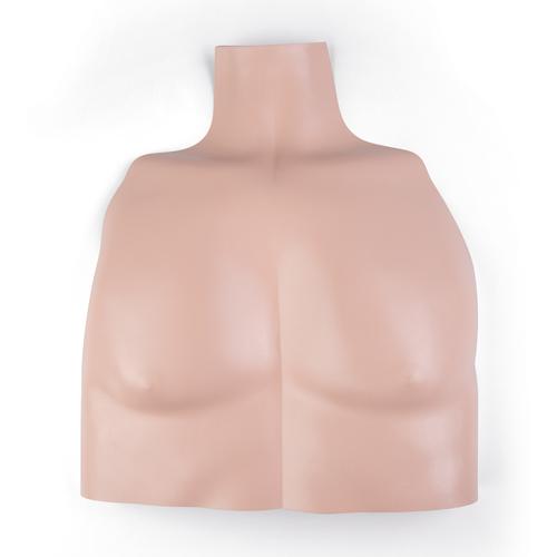 Pelle di torso Basic Billy (gastroteco) (P72), 1013587 [XP72-009], Ricambi