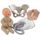 Childbirth Education Model Set Standard Pelvis with beige fetal model, 1023096, Ostetricia