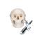Mini cranio, in 3 parti - 3B Smart Anatomy, 1000041 [A18/15], Modelli di Cranio (Small)