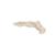 Scheletro del piede su filo metallico - 3B Smart Anatomy, 1019355 [A30], Modelli di scheletro del piede e della gamba (Small)