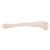 Tibia - 3B Smart Anatomy, 1019363 [A35/3], Modelli di scheletro del piede e della gamba (Small)