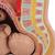 Bacino gravido, in 3 parti - 3B Smart Anatomy, 1000333 [L20], Educazione prenatale (Small)