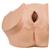 Modello ginecologico per colloquio con i pazienti - 3B Smart Anatomy, 1013705 [P53], Educazione sessuale (Small)