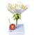 Fiore di ciliegio con frutto (Prunus avium), modello, 1020125 [T210191], Dicotilèdoni (Small)