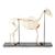 Scheletro di cavallo (Equus ferus caballus), femmina, preparato, 1021002 [T300141f], Animali da fattoria (Small)