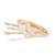 Testa di siluro d’Europa (Silurus glanis), preparato, 1020965 [T30030], pesci (Small)