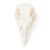 Cranio di pollo (Gallus gallus domesticus), preparato, 1020968 [T30070], Stomatologia (Small)
