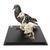 Piccione e scheletro di piccione (Columba livia domestica), in vetrina, preparato, 1021040 [T310051], uccelli (Small)