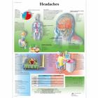 Headache, 1001604 [VR1714L], Cervello e del sistema nervoso