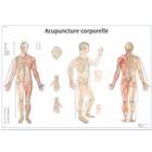 Acupuncture corporelle, 1001795 [VR2820L], Modelli