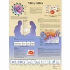  VIH y SIDA, 1001939 [VR3725L], Educazione sessuale