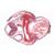 Evoluzione dell'embrione di rana (Rana) - Tedesco, 1003948 [W13027], Micropreparati LIEDER (Small)