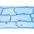 Fanerogame II. Cellule e tessuti - Inglese, 1003975 [W13046], Inglese (Small)