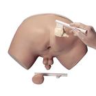 Simulatore per esame della prostata, 1005594 [W44014], Controllo medico sull'uomo