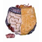 Ricambio intestino, 2 pz. completo, 1020674 [XB016], Ricambi