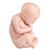 Ricambio feto per L20, 1020700 [XL001], Ricambi (Small)